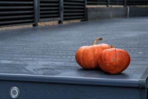 Террасная доска Lecole в цвете графит