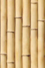 Матовая панель «Век», бамбук натуральный (фрагмент)