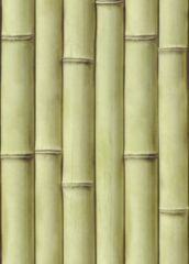 Матовая панель «Век», бамбук оливковый (фрагмент)