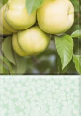 Глянцевая панель «Век», яблоневый сад зелёный (фрагмент)
